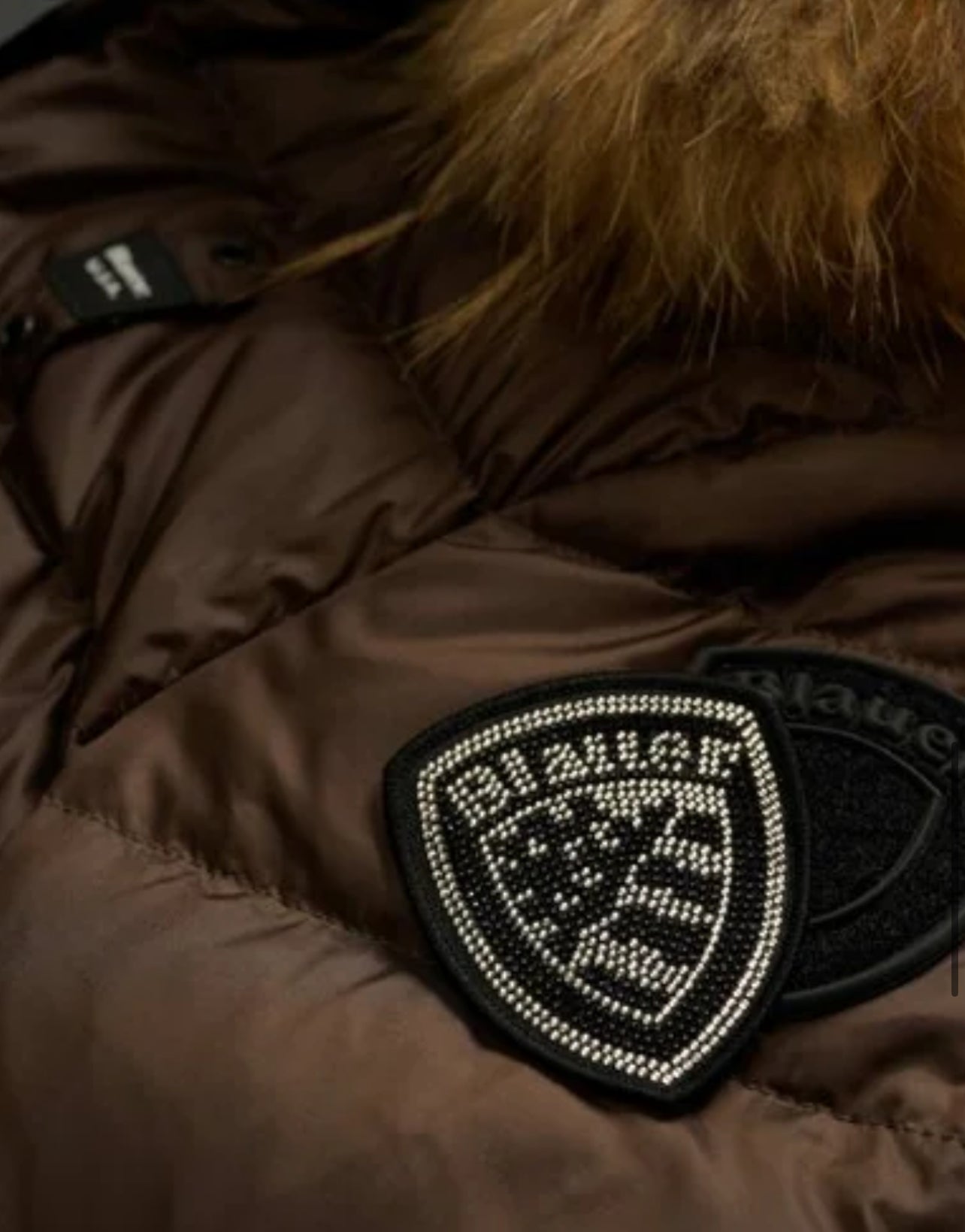 GIUBBINO BLAUER CORTO DONNA MARRONE  PELLICCIA